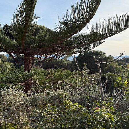 Villa Carpe Diem Le Lavandou Εξωτερικό φωτογραφία