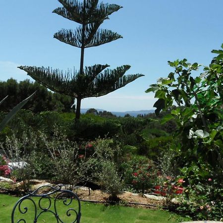 Villa Carpe Diem Le Lavandou Εξωτερικό φωτογραφία