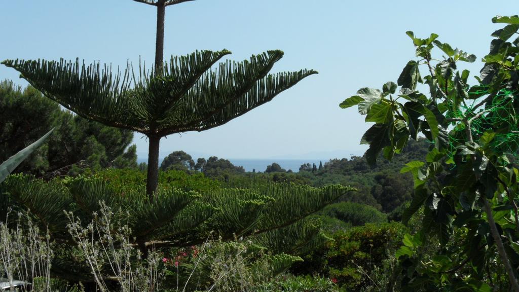 Villa Carpe Diem Le Lavandou Δωμάτιο φωτογραφία