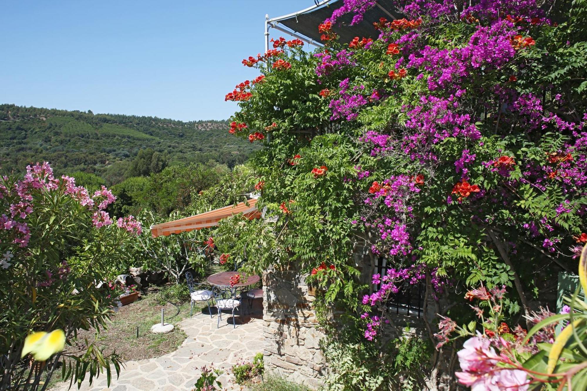 Villa Carpe Diem Le Lavandou Εξωτερικό φωτογραφία