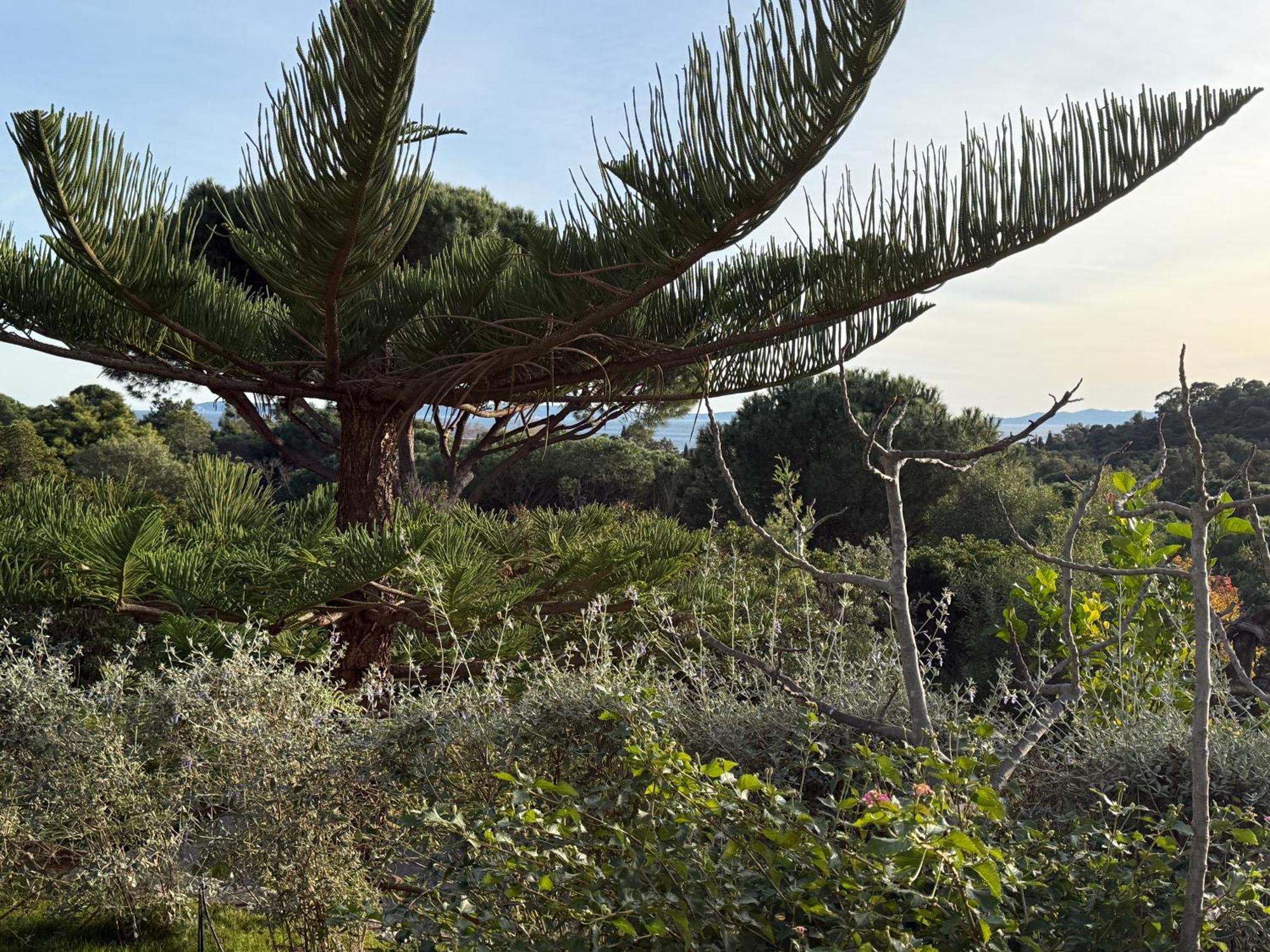 Villa Carpe Diem Le Lavandou Εξωτερικό φωτογραφία